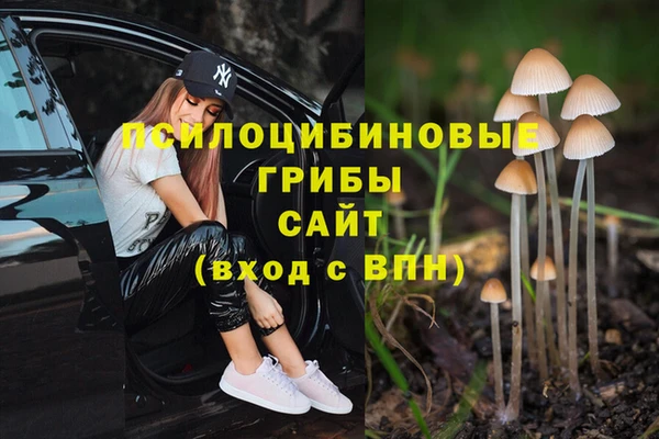 амф Алексин