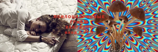 ешки Алексеевка