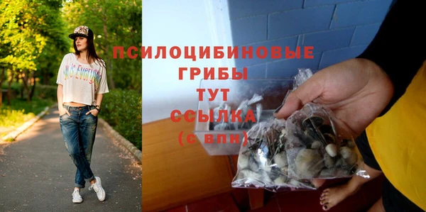 ешки Алексеевка